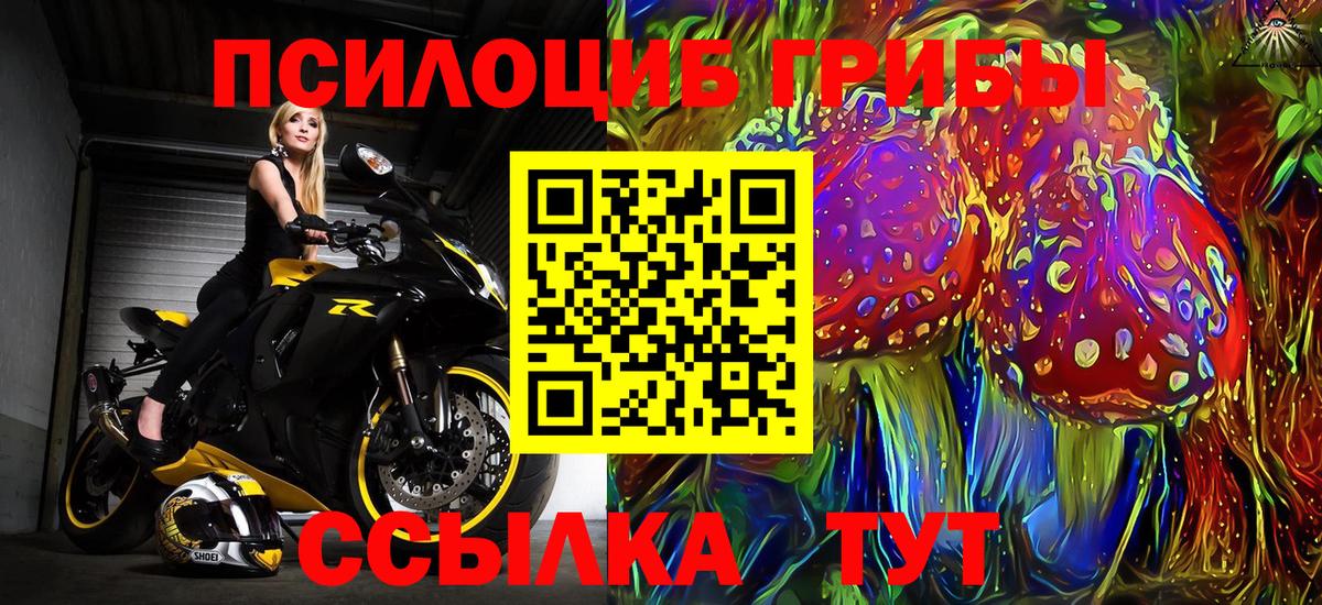 Ахтубинск  Псилоцибиновые грибы Cubensis  Вход с VPN  Галлюциногенные грибы прущие грибы 